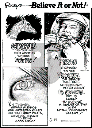 Ripley's Believe It or Not on Saturday June 14, 2008 Comic Strip