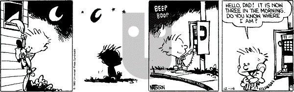 Calvin and Hobbes - Saturday December 14, 1985 Comic Strip