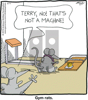 In the Bleachers on Saturday May 11, 2019 Comic Strip