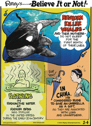 Ripley's Believe It or Not on Wednesday February 4, 2015 Comic Strip