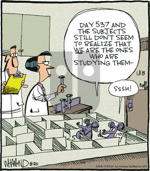 Reality Check on Monday August 20, 2018 Comic Strip