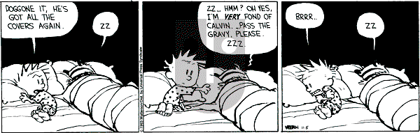 Calvin and Hobbes - Friday November 5, 1993 Comic Strip