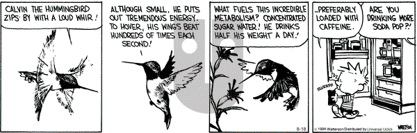 Calvin and Hobbes on Monday August 18, 2014 Comic Strip