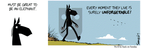 Dark Side of the Horse on Friday April 1, 2016 Comic Strip