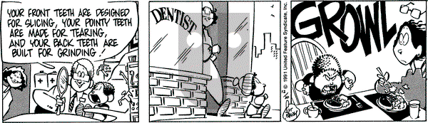 Rose is Rose on Friday December 20, 1991 Comic Strip