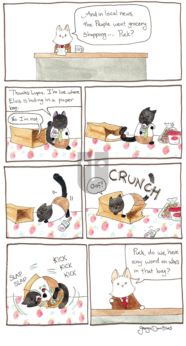 Breaking Cat News on Thursday August 13, 2015 Comic Strip