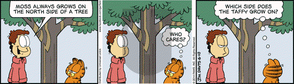 Garfield on Tuesday June 10, 2014 Comic Strip