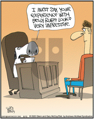 The Flying McCoys on Monday June 15, 2020 Comic Strip