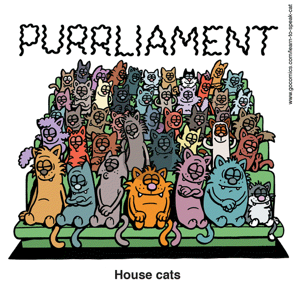 Learn to Speak Cat on Tuesday March 25, 2025 Comic Strip