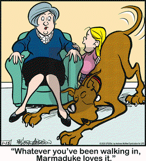 Marmaduke on Wednesday January 15, 2020 Comic Strip