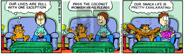Garfield on Thursday May 30, 1991 Comic Strip