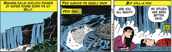 Rip Haywire on Saturday June 27, 2009 Comic Strip