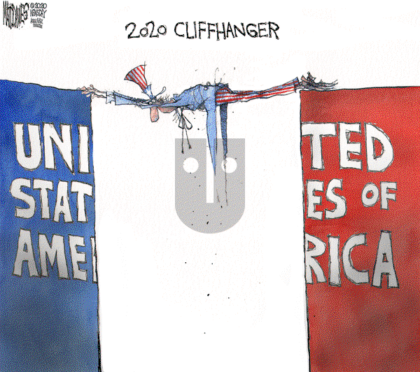 Matt Davies on Friday November 6, 2020 Comic Strip