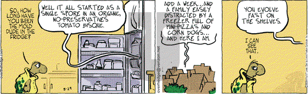 Over the Hedge on Friday August 29, 2008 Comic Strip