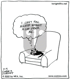 Kit 'N' Carlyle on Saturday November 9, 2002 Comic Strip