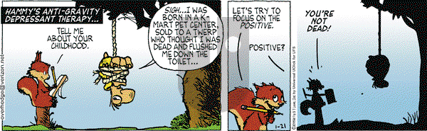 Over the Hedge on Wednesday January 21, 2015 Comic Strip