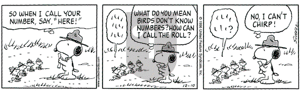 Peanuts on Tuesday December 10, 1996 Comic Strip