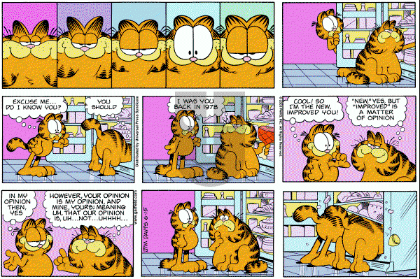 Garfield - Sunday June 15, 2003 Comic Strip