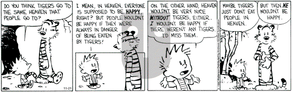 Calvin and Hobbes - Saturday November 21, 2020 Comic Strip