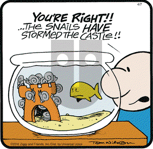 Ziggy on Thursday April 7, 2016 Comic Strip