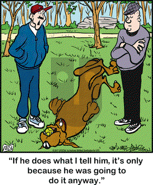 Marmaduke on Tuesday December 26, 2017 Comic Strip