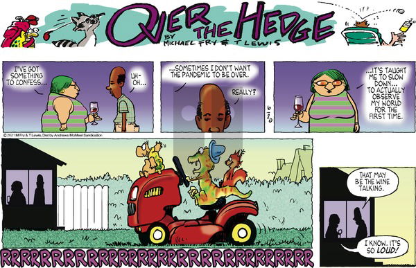 Over the Hedge on Sunday June 20, 2021 Comic Strip