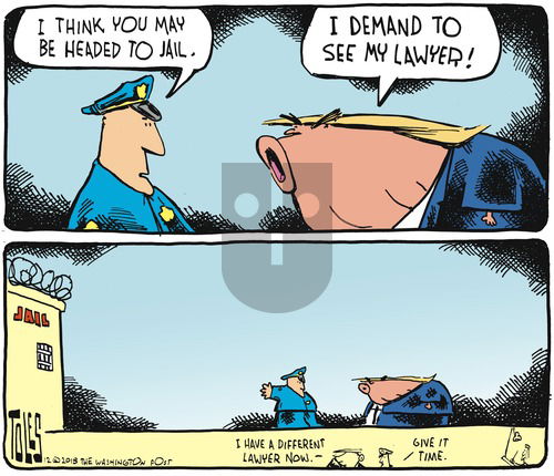 Tom Toles on Sunday December 16, 2018 Comic Strip
