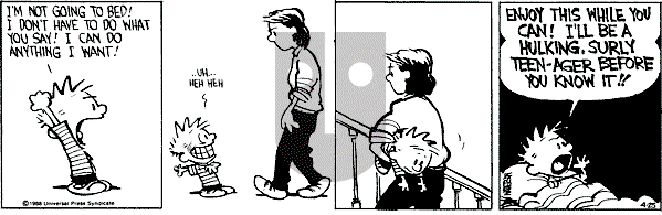 Calvin and Hobbes - Monday April 25, 1988 Comic Strip