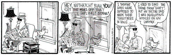 Monty on Monday April 17, 2006 Comic Strip