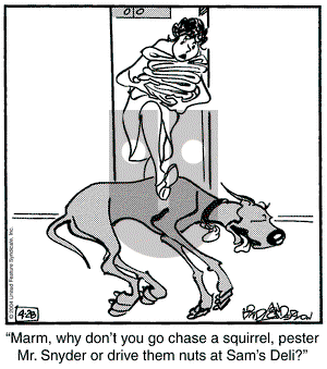Marmaduke on Tuesday October 18, 2005 Comic Strip