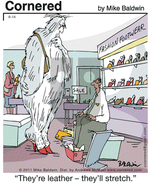 Cornered on Wednesday August 14, 2019 Comic Strip