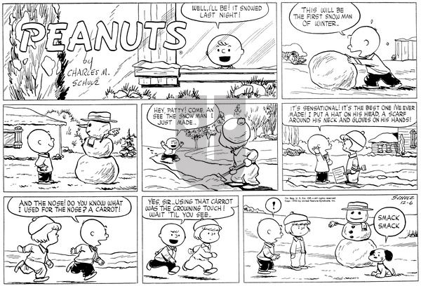 Peanuts on Sunday December 6, 1953 Comic Strip