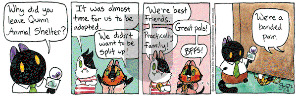 Breaking Cat News - Friday November 11, 2022 Comic Strip