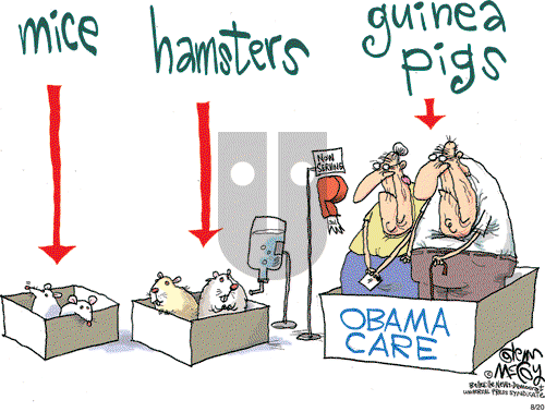 Glenn McCoy on Thursday August 20, 2009 Comic Strip