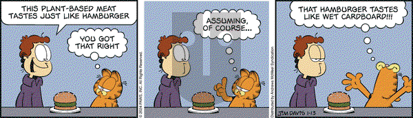 Garfield - Saturday January 13, 2024 Comic Strip