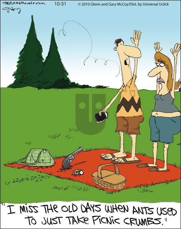 The Flying McCoys on Sunday October 31, 2010 Comic Strip
