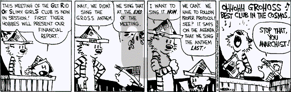 Calvin and Hobbes - Tuesday April 23, 1991 Comic Strip