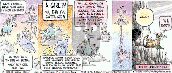Non Sequitur on Sunday July 20, 1997 Comic Strip