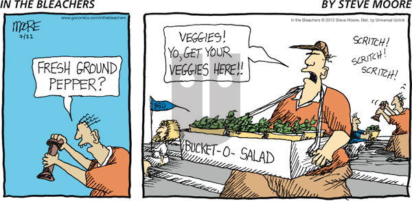 In the Bleachers on Sunday July 22, 2012 Comic Strip