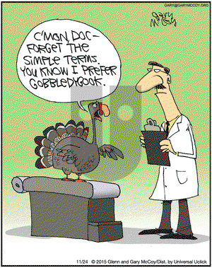 The Flying McCoys on Tuesday November 24, 2015 Comic Strip