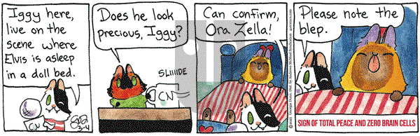 Breaking Cat News on Tuesday March 4, 2025 Comic Strip