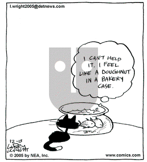 Kit 'N' Carlyle on Tuesday December 13, 2005 Comic Strip
