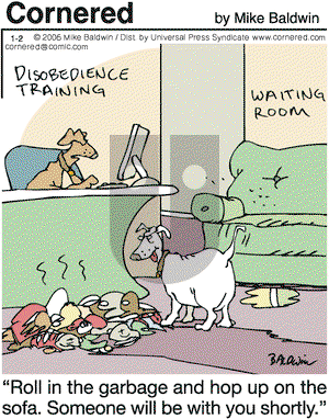 Cornered on Monday January 2, 2006 Comic Strip