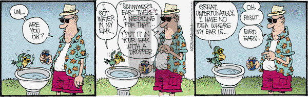 Monty on Wednesday July 9, 2025 Comic Strip