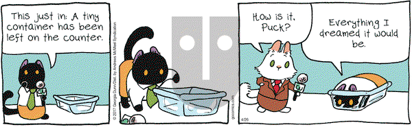 Breaking Cat News on Wednesday April 26, 2017 Comic Strip