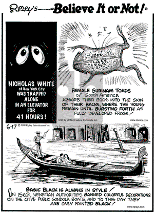 Ripley's Believe It or Not on Tuesday June 17, 2008 Comic Strip