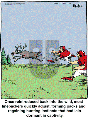 In the Bleachers on Wednesday November 23, 2005 Comic Strip