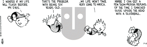 Calvin and Hobbes - Tuesday July 12, 1988 Comic Strip