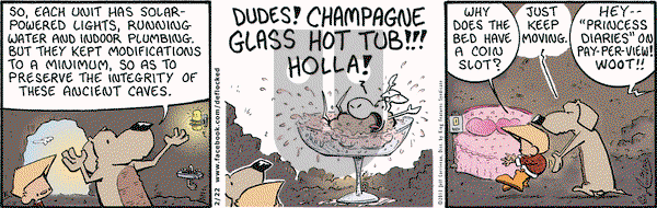 DeFlocked on Friday February 22, 2013 Comic Strip