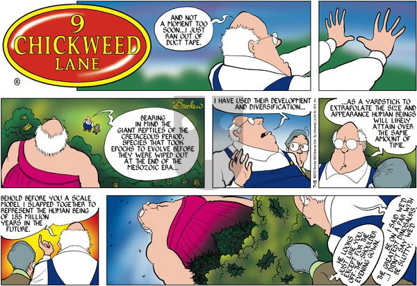 9 Chickweed Lane on Sunday July 15, 2012 Comic Strip